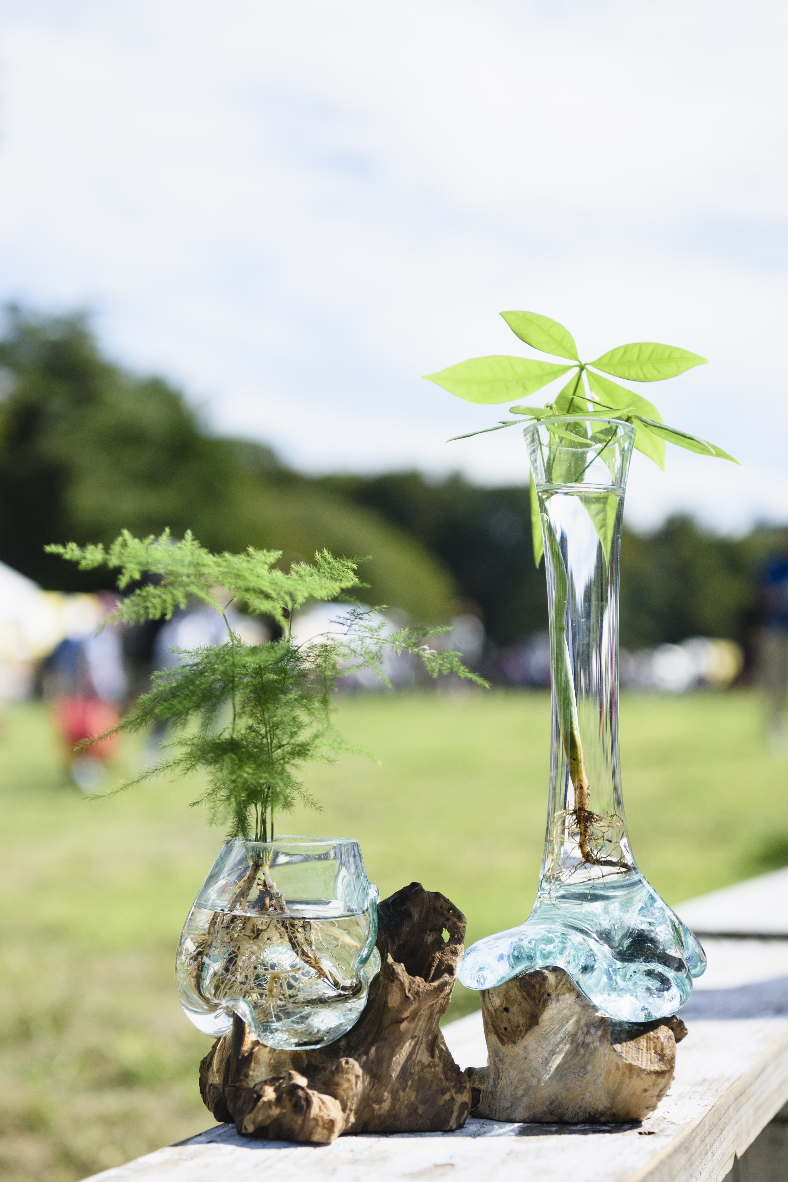 インドネシア アンティーク ガラス細密画